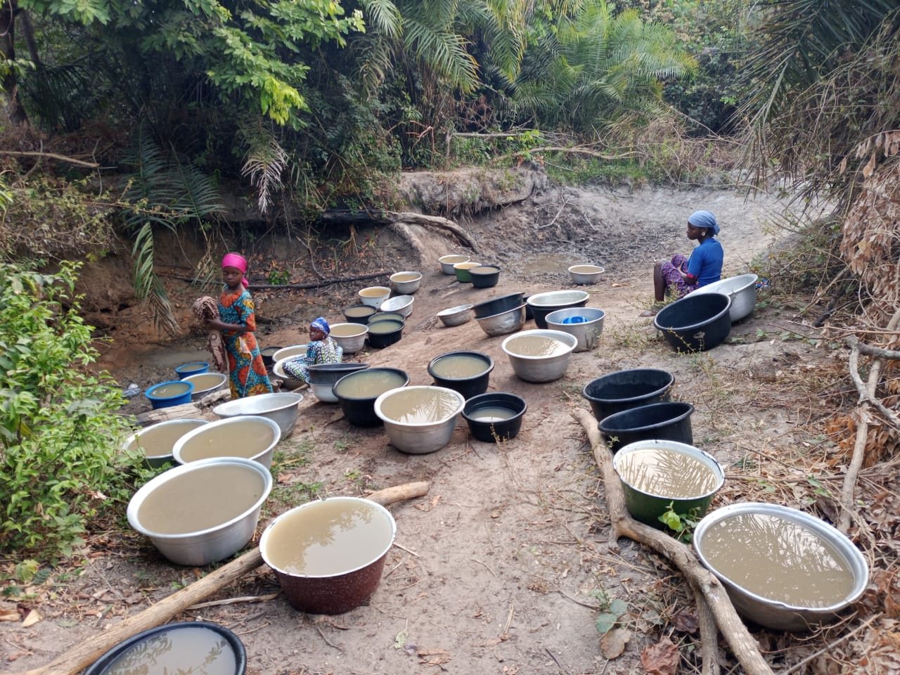 Basins of water collected from an unprotected source, waiting to be carried home